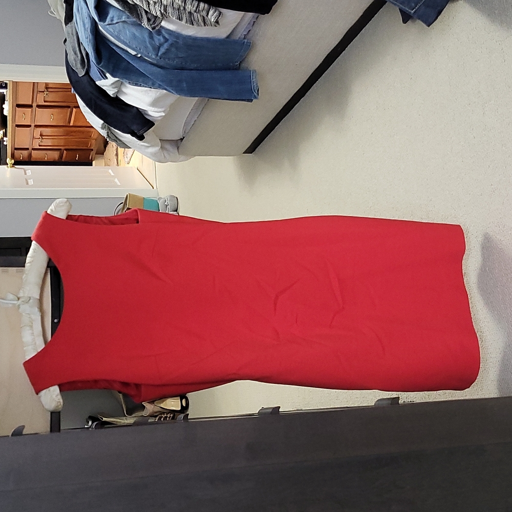 The BEST Zara Dress ever